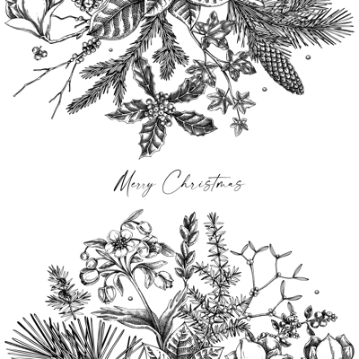 Merry Christmas card. Vintage frame with evergreen plants, conifers, and flower sketch. Winter vector design. Hand-drawn botanical illustrations. NOT AI generated image